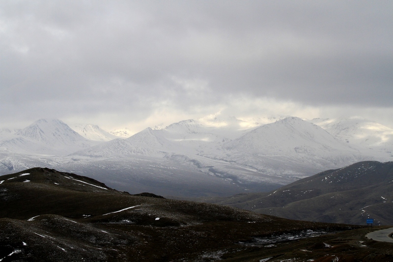 _MG_3776.jpg