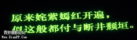 B737CDA4-0646-46CA-9955-DD529C66382E.jpg
