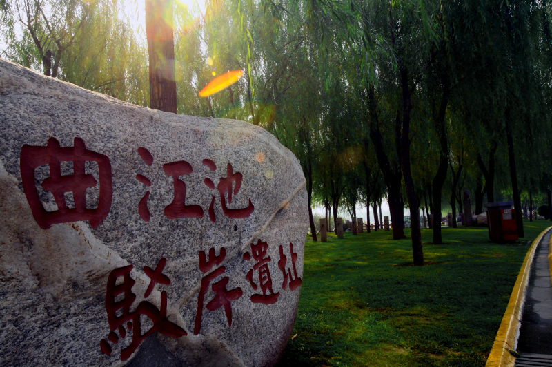 IMG_5018 拷贝.JPG