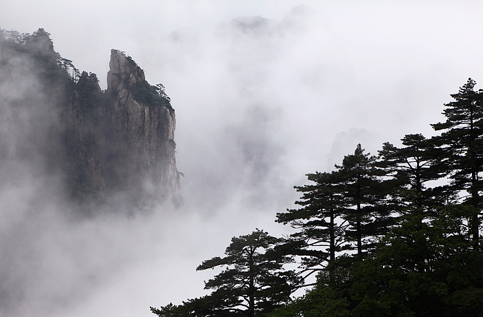 黄山景致16.jpg