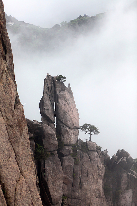黄山景致18.jpg