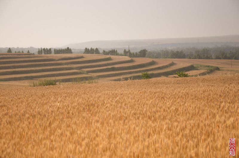 DSC_2603.jpg