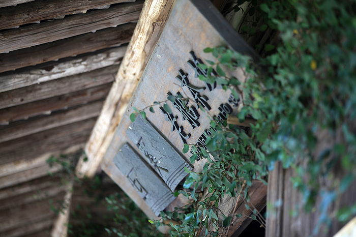 西溪湿地03.jpg
