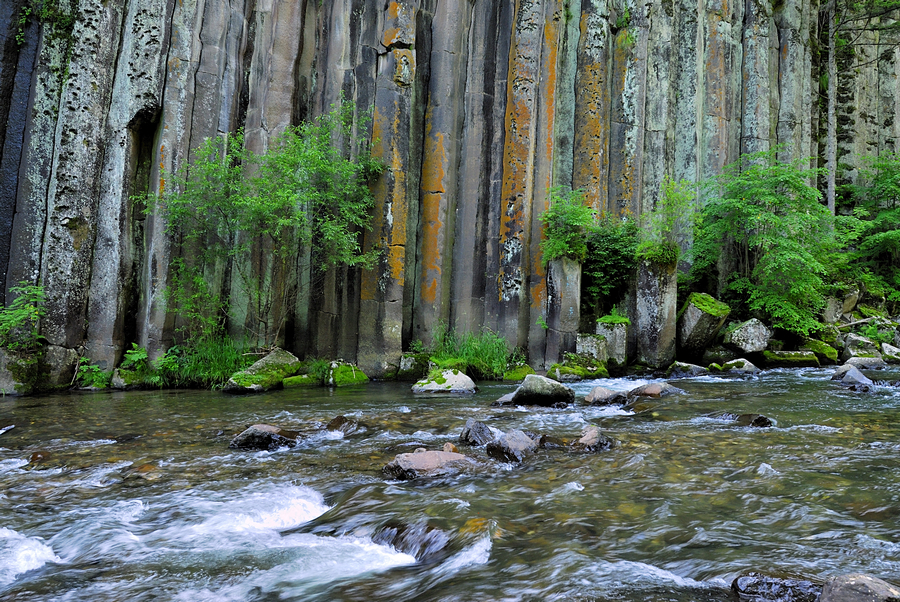 _DSC0178.jpg