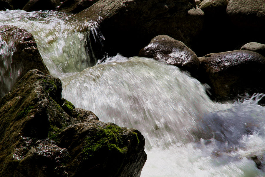 _MG_9629.JPG
