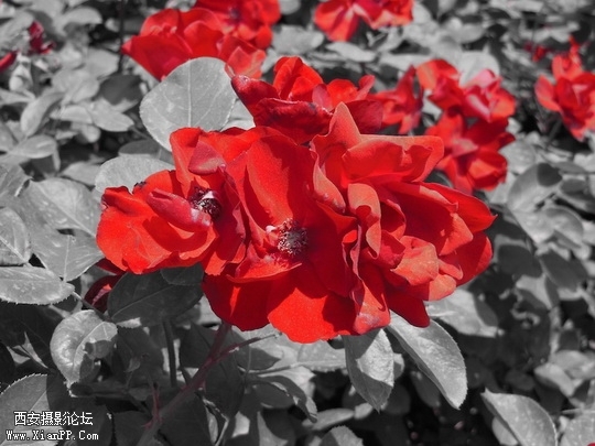 9_30114045_4.jpg