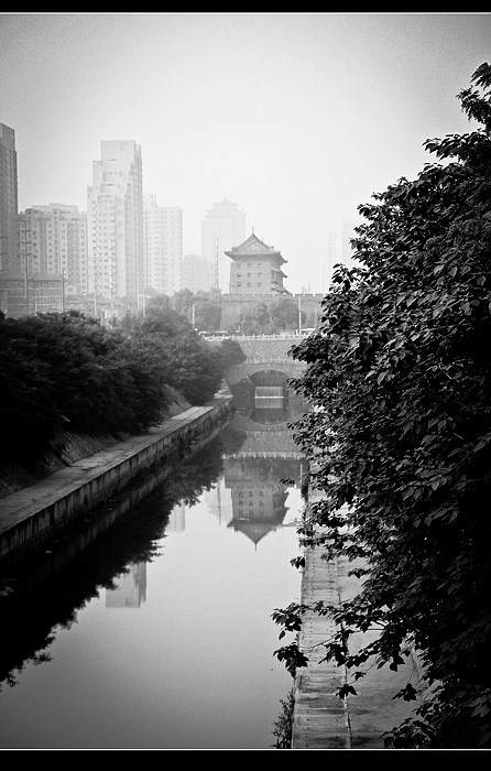 _MG_1023.jpg