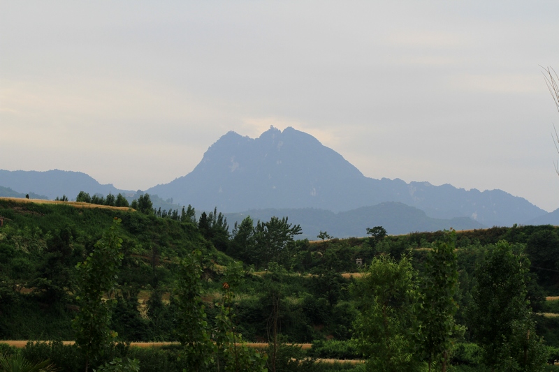 IMG_5250.jpg