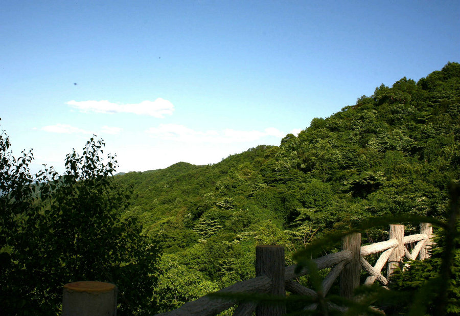 IMG_24r65.jpg