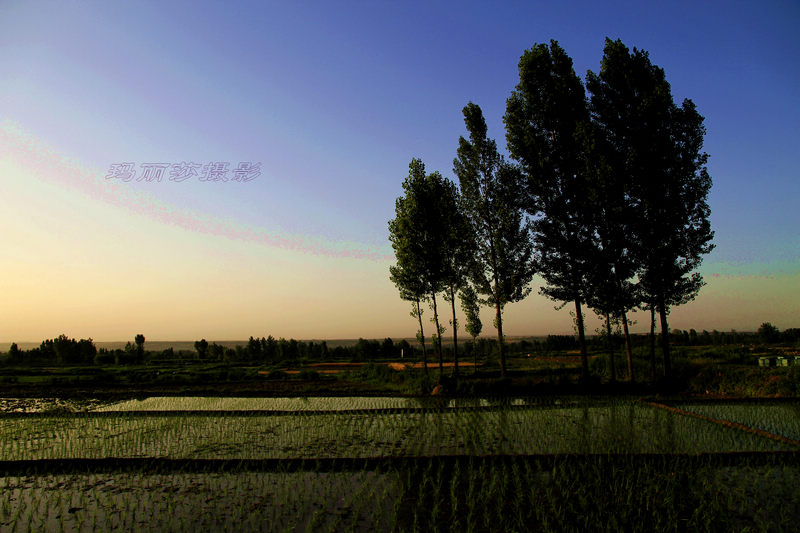 _MG_9973.jpg