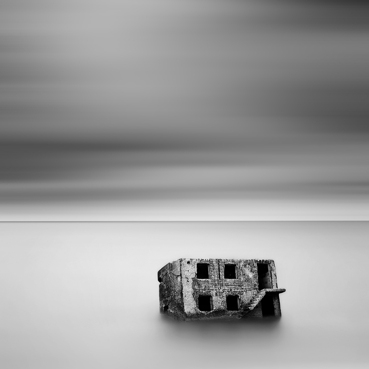 2286791.jpg