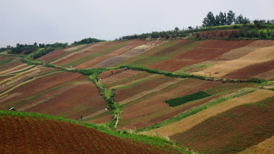 FENGGUANG 362A.jpg