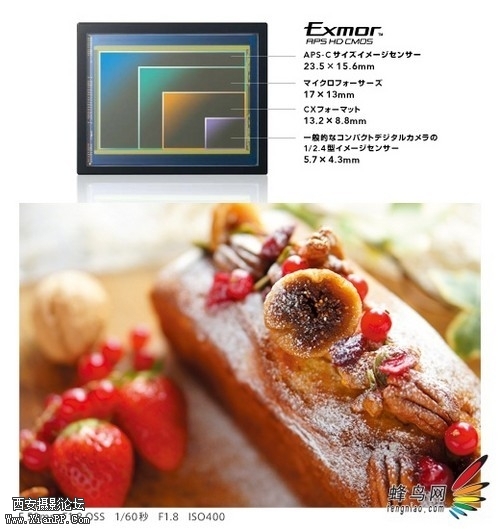 ceqVgBwxdqcDs.jpg