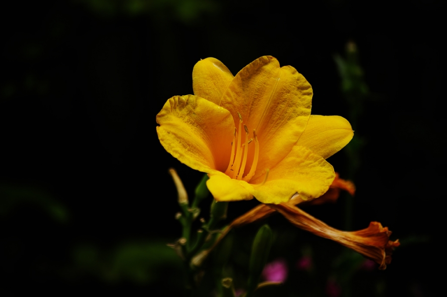 IMGP0493.jpg