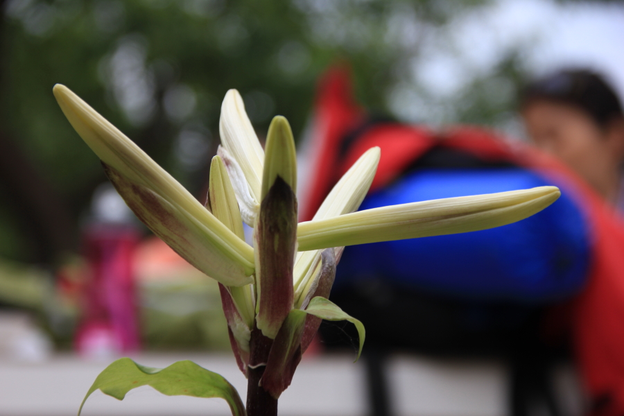 DPP_011867.JPG