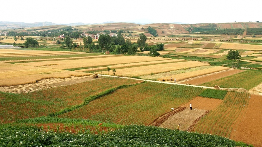 FENGGUANG 163A.jpg