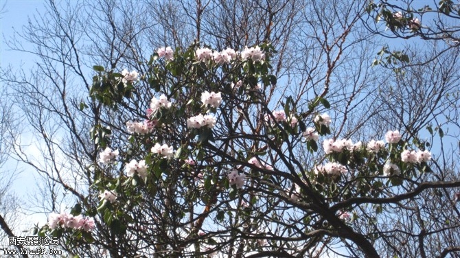 照片 010.jpg
