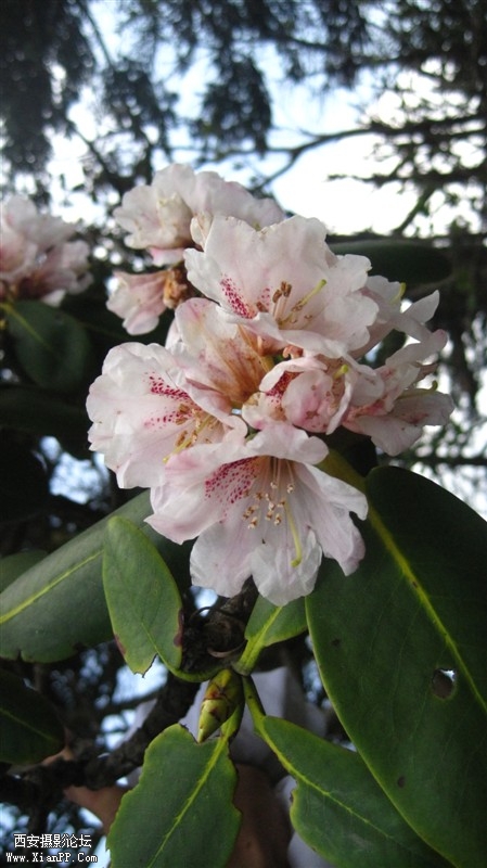 照片 017.jpg