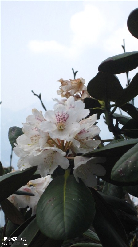 照片 020.jpg