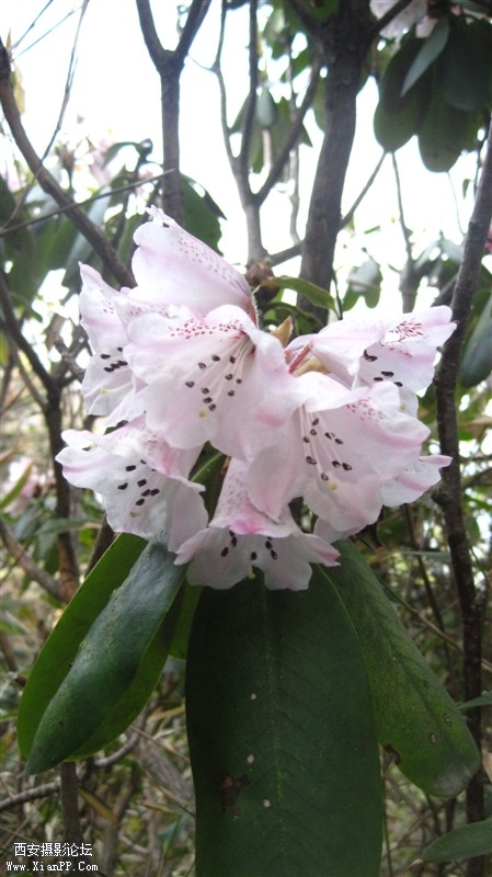照片 022.jpg