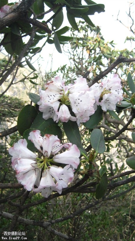 照片 023.jpg