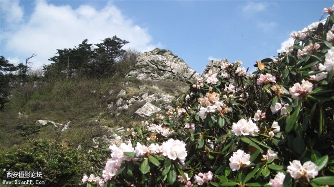照片 031.jpg