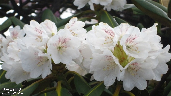 照片 033.jpg