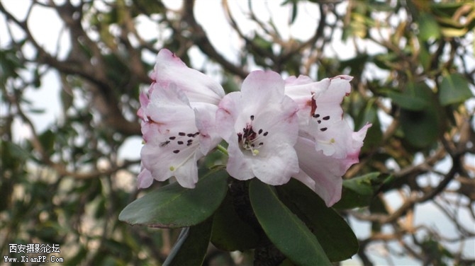 照片 038.jpg