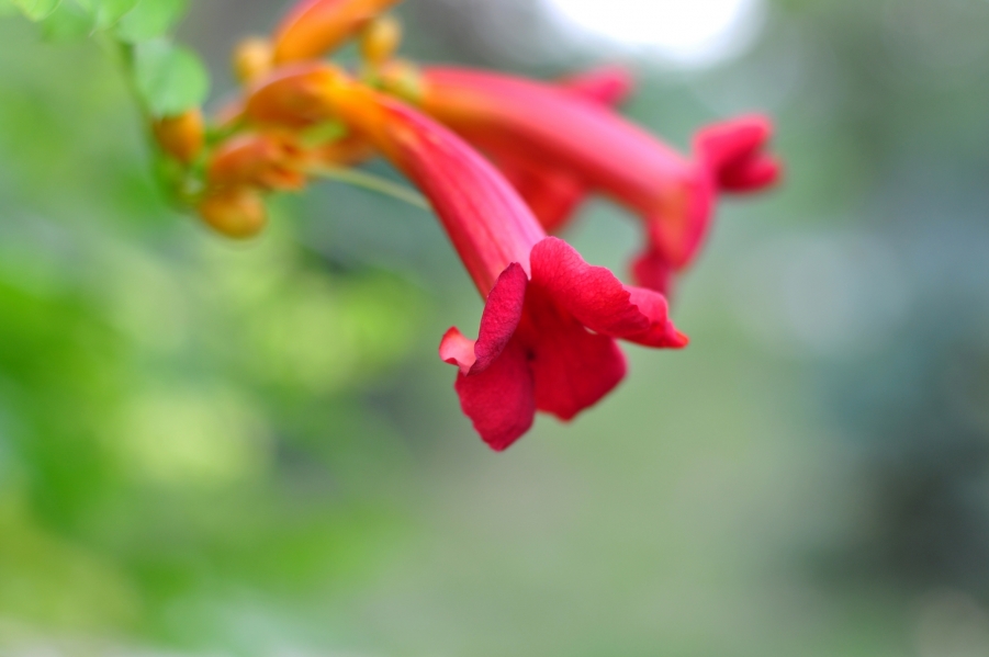 DSC_0063.JPG