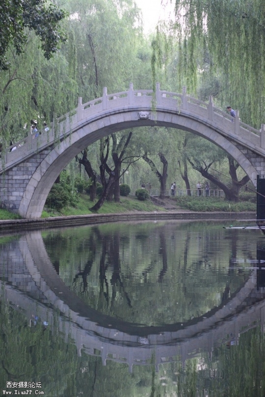 59_05142537_6_lit.jpg