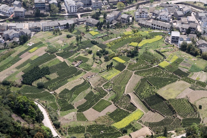 黄山旅游照片 346.jpg