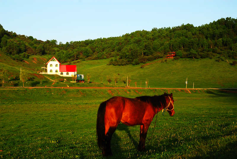 DSC_0319.jpg
