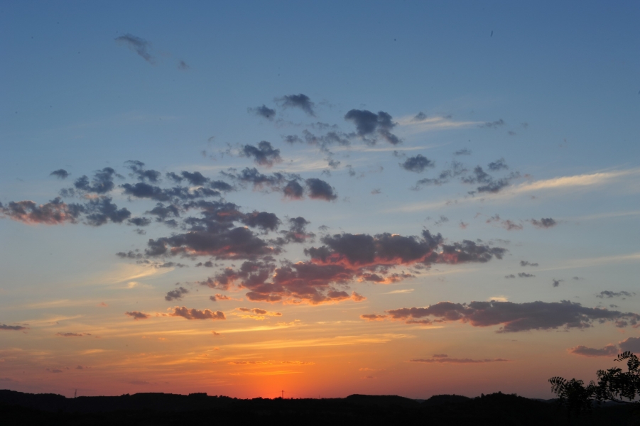 DSC_7803.jpg
