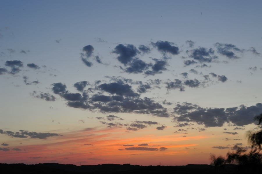 DSC_7848.jpg
