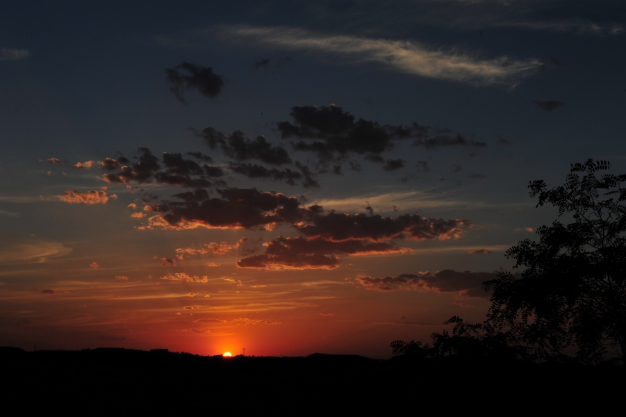 DSC_7778.jpg
