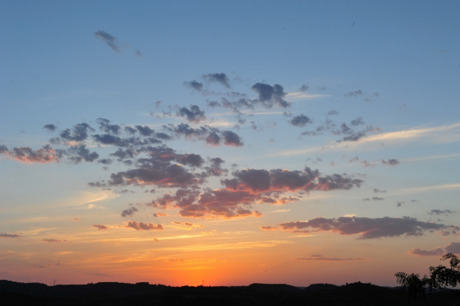DSC_7800.jpg