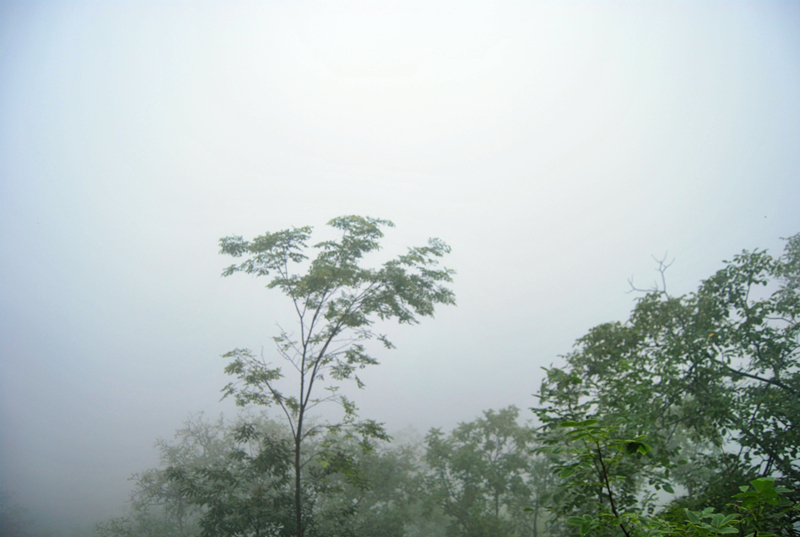 DSC_3525_副本.jpg