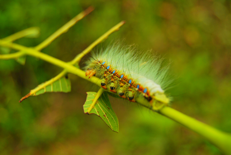DSC_3476_副本.jpg