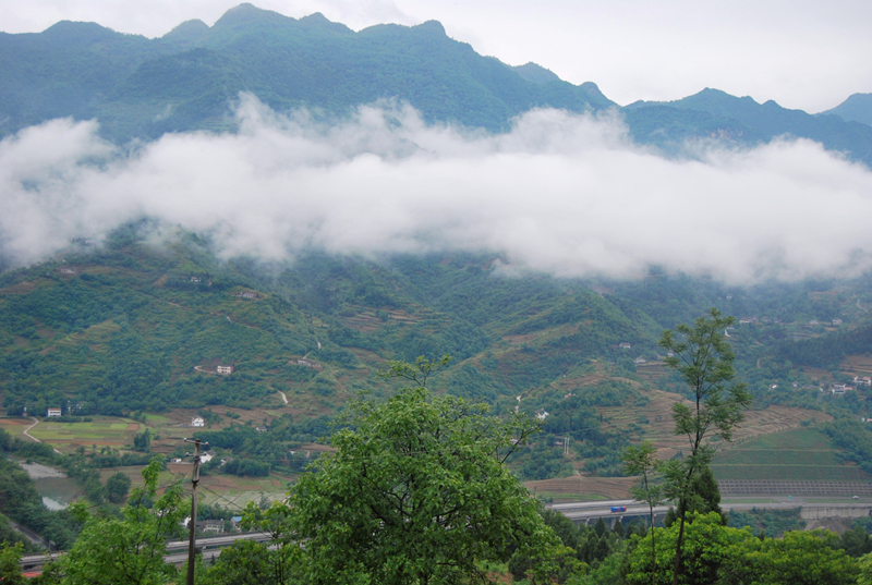 DSC_3514_副本.jpg
