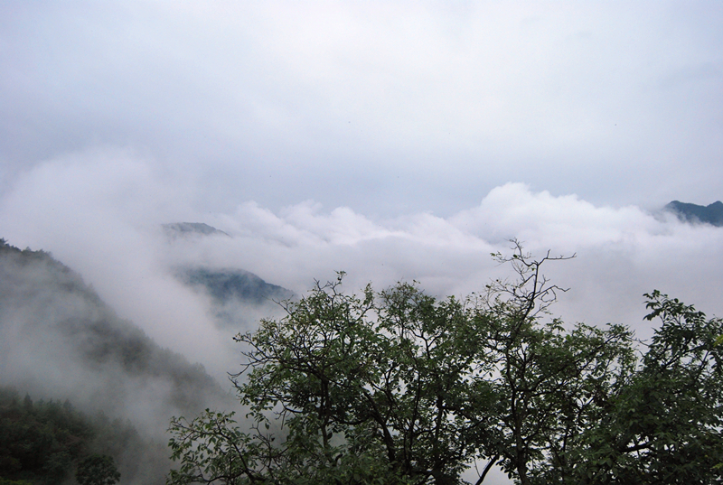 DSC_3521_副本.jpg