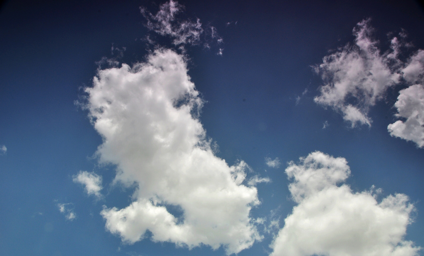 DSC_5428.JPG