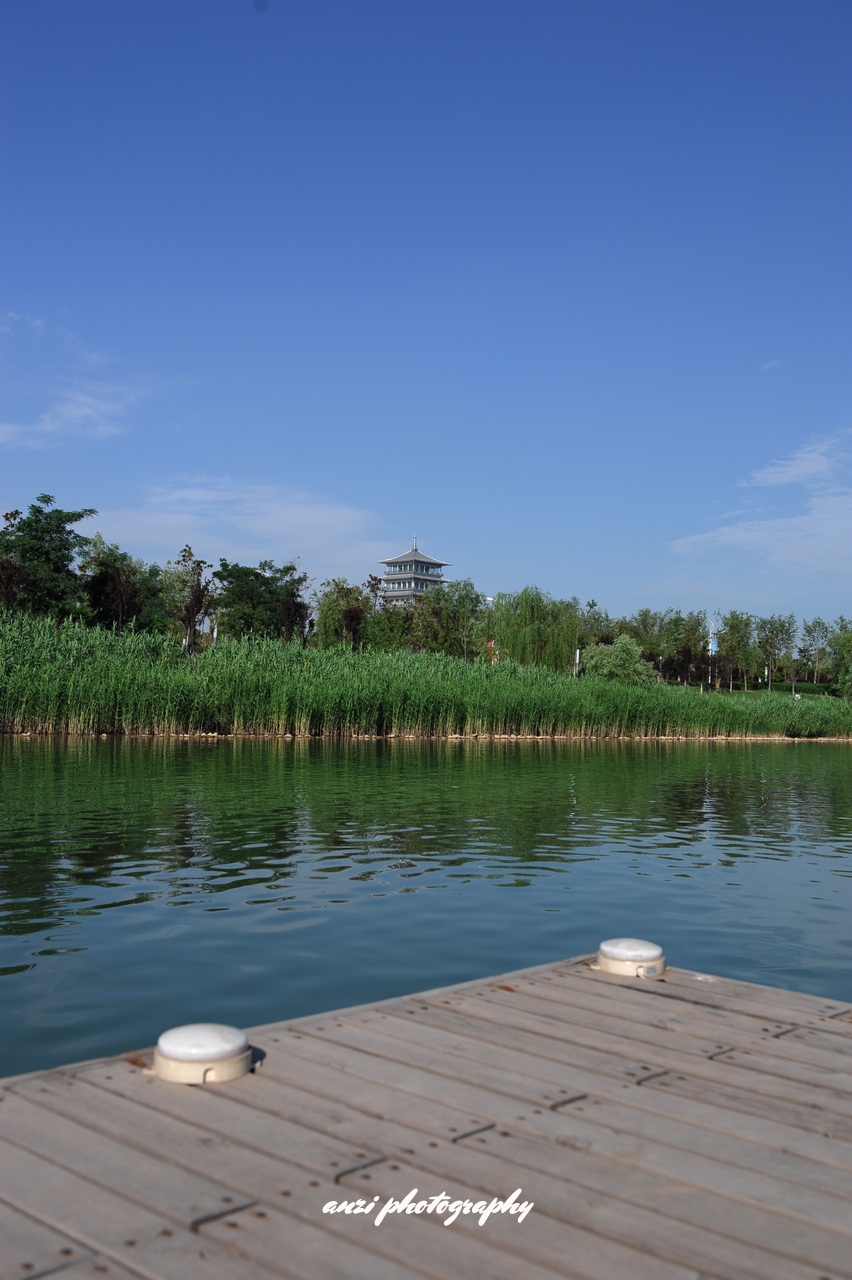 DSC_3594.jpg