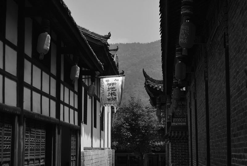 DSC_3809_副本.jpg