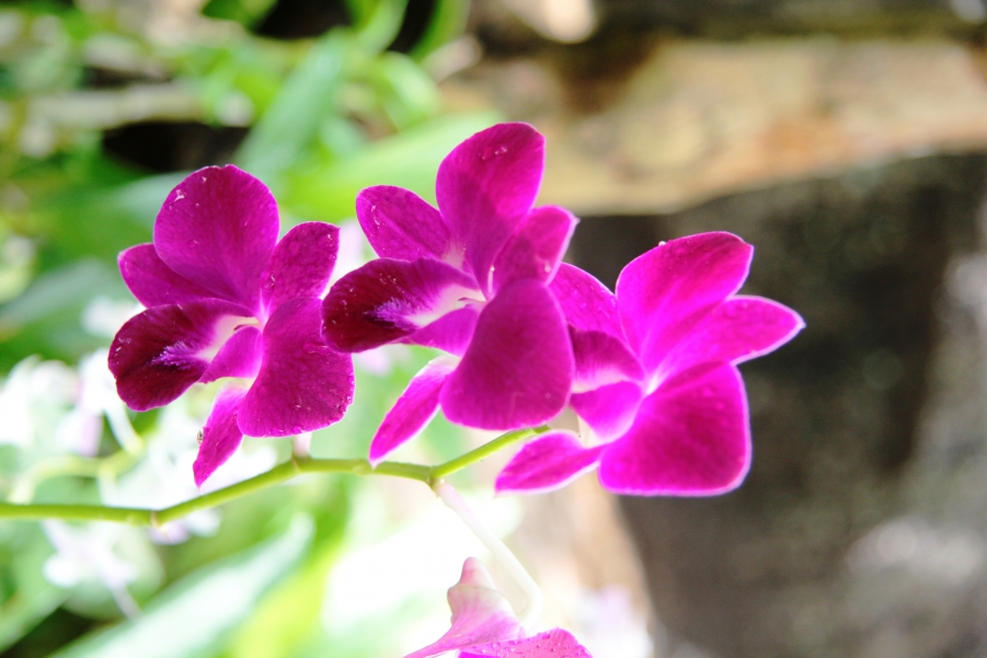 IMG_6423.JPG