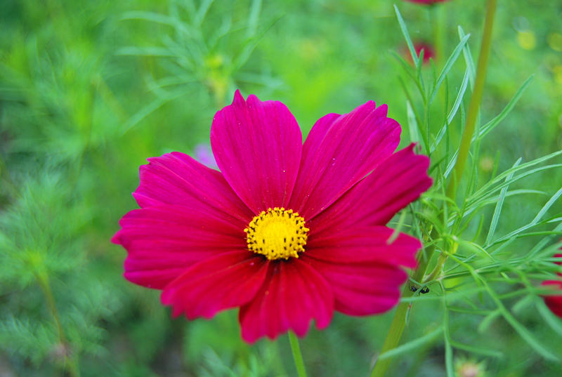 DSC_4154_副本.jpg