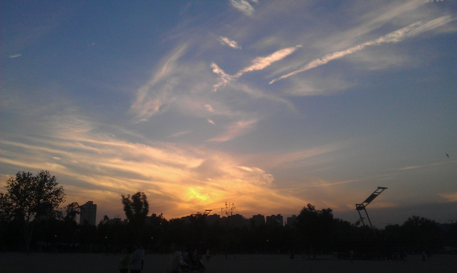 IMG_20120609_194230.jpg
