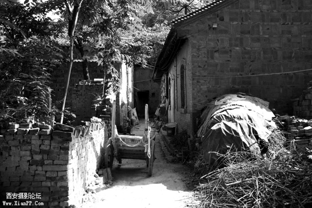 _MG_0018.jpg