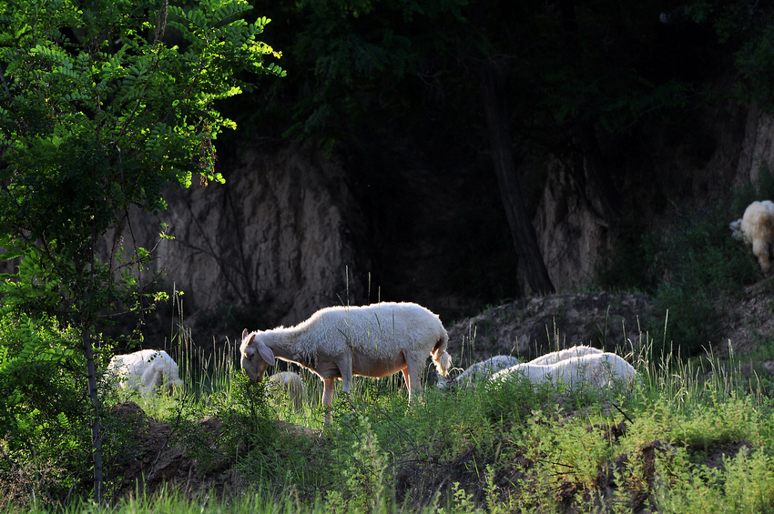 DSC_5178.JPG