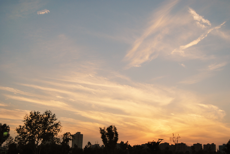 DSC_4313_副本.jpg