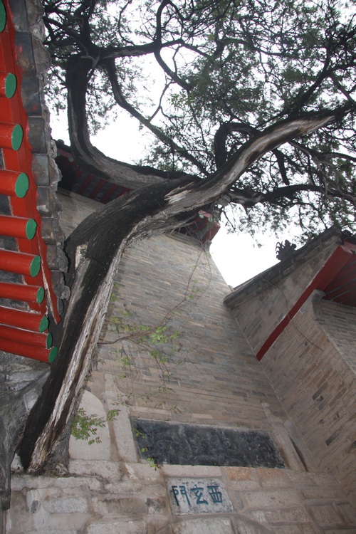 照片 147.jpg